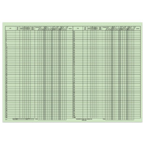 Route Sheet - BIG GREEN, 28" x  20", 50 Per Pad