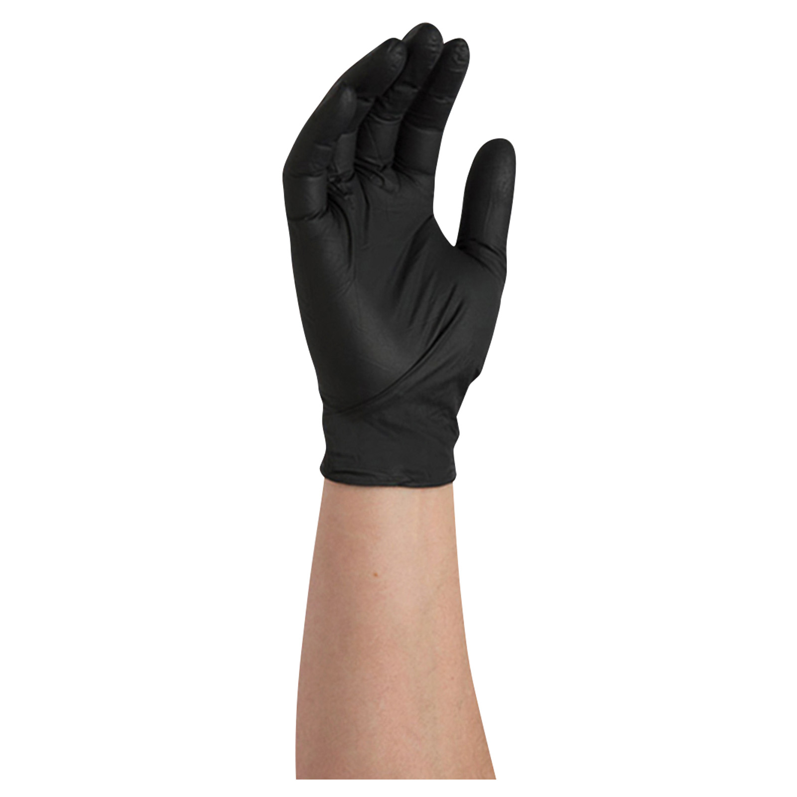 1710_Premium-Black-Nitrile-Gloves_Powder-Latex-Free_Small_P-WEB