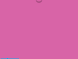 538 Deal Jacket Template Fuchsia