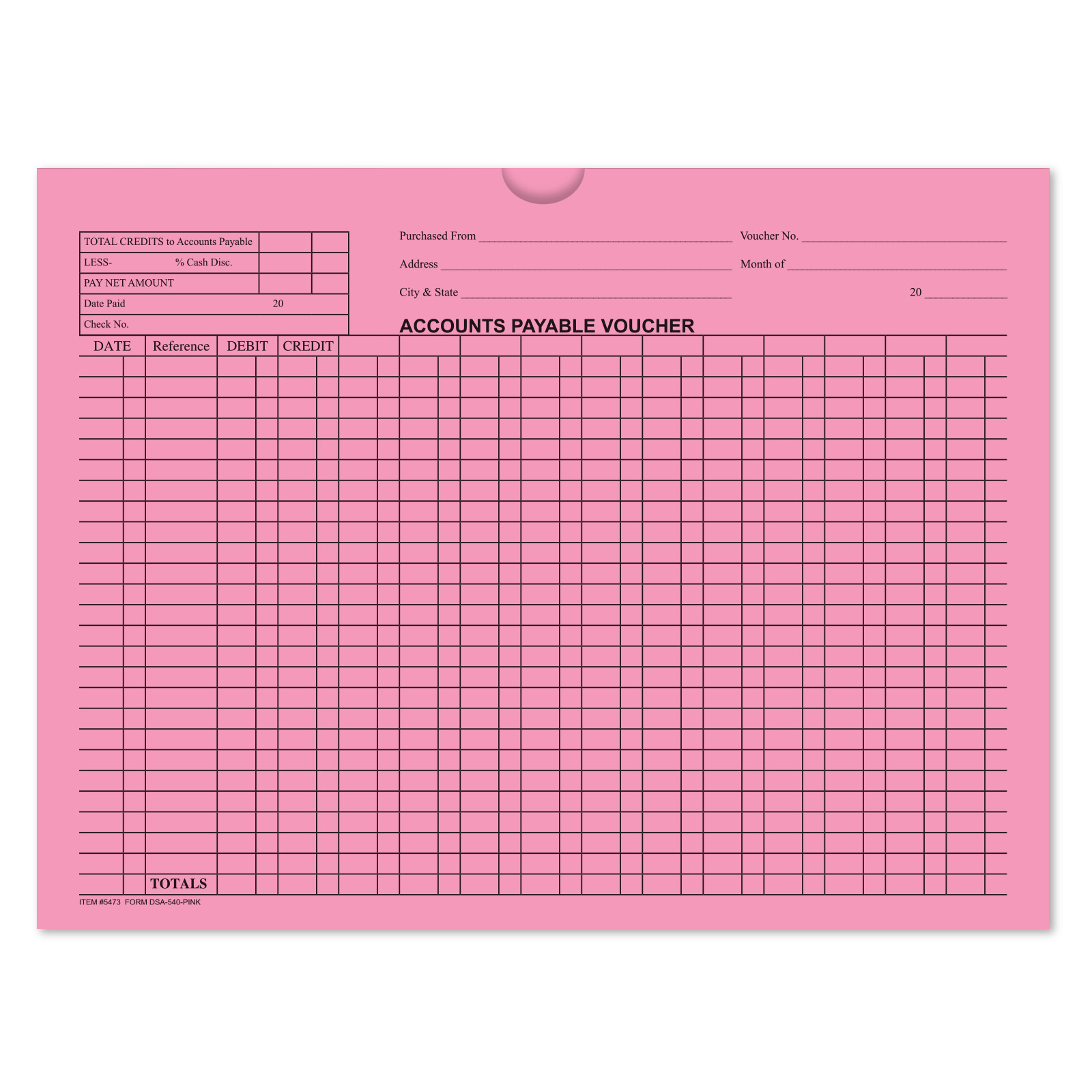 5473_Accounts-Payable-Voucher-Envelopes_Form-DSA-540_Pink-1_P-WEB
