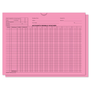 5473_Accounts-Payable-Voucher-Envelopes_Form-DSA-540_Pink-2_P-WEB