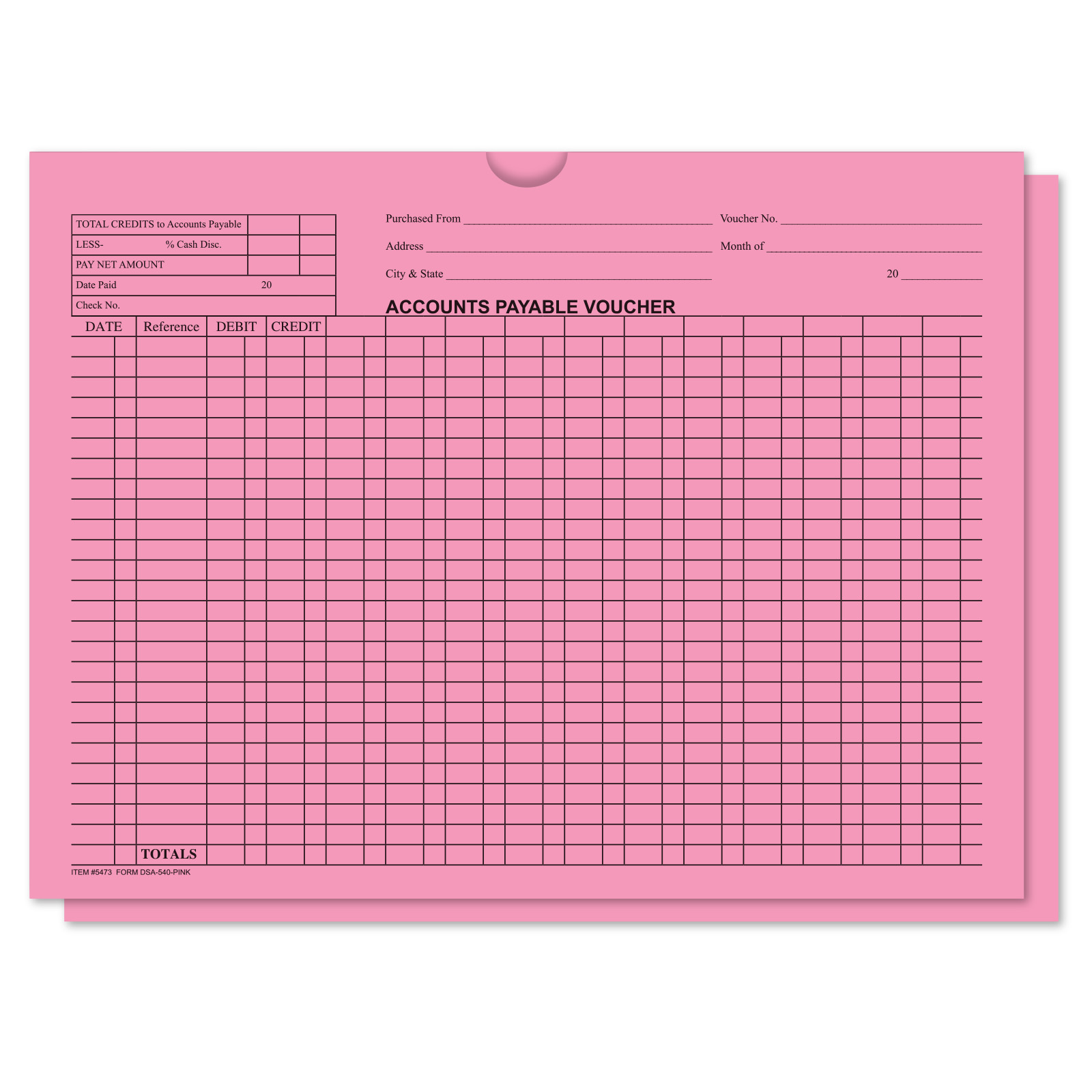 5473_Accounts-Payable-Voucher-Envelopes_Form-DSA-540_Pink-2_P-WEB