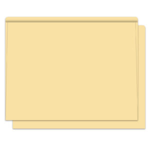 5521_Heavy-Duty-Deal-Envelopes_Plain_Form-SA1220-HD_Buff-2_P-WEB