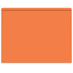 5529_Heavy-Duty-Deal-Envelopes_Plain_Form-SA1220-HD_Salmon_P-WEB