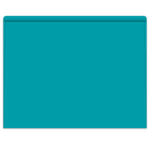 5530_Heavy-Duty-Deal-Envelopes_Plain_Form-SA1220-HD_Teal_P-WEB