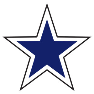 5820-03_Vinyl-Stars-Navy-Blue-on-White_P-WEB