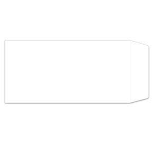 License Plate Envelope - LPEV-1 - Moist & Seal - White - Qty. 100