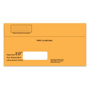 Lic. Plate Envelope - Window - Self Seal - Qty. 100