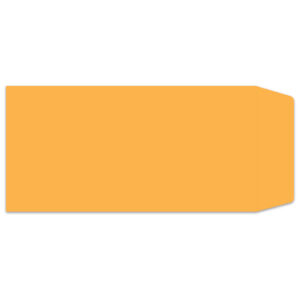 License Plate Envelope - LPEV-1 - Moist & Seal - Qty. 100