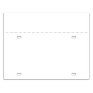 Temporary Tag - Synthetic Paper - 5mil Qty 100