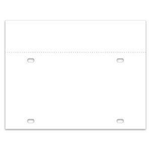 Temporary Tag - Synthetic Paper - 8 mil - Top/Bottom - Qty 100