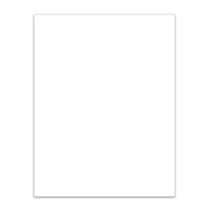8.5" x 11" Ext. Lsr Window Sticker, BLANK, P/A (100)